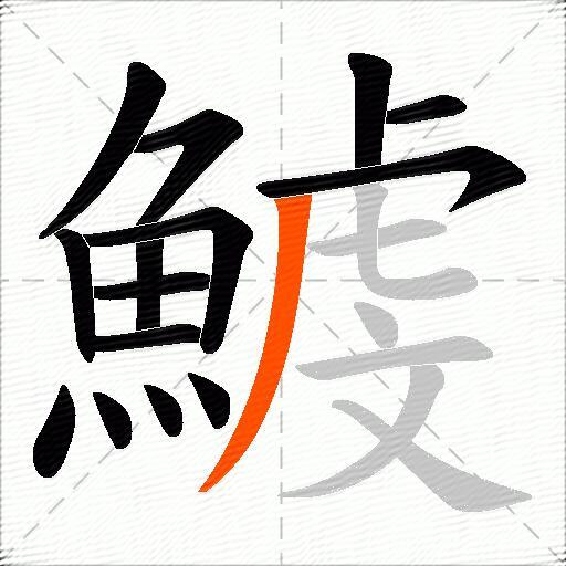 鰬