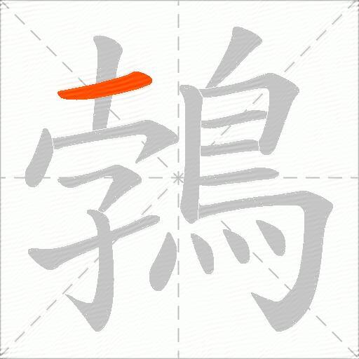 鵓