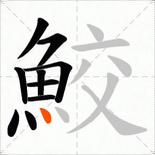 鮫