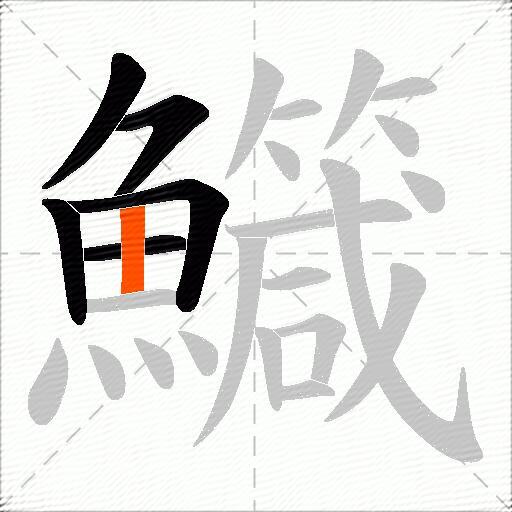 鱵