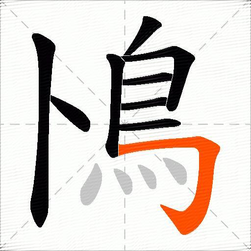 鳪