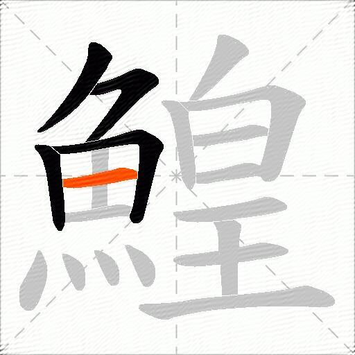 鰉