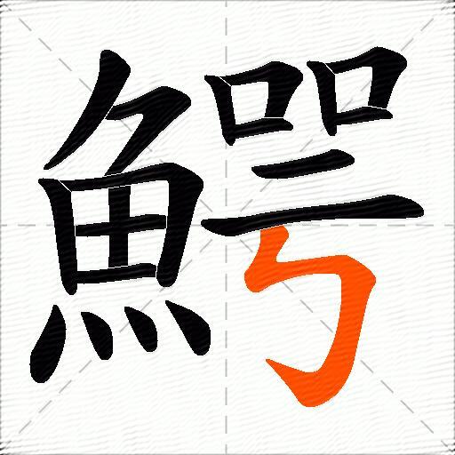 鰐