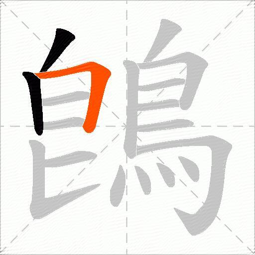 鵖