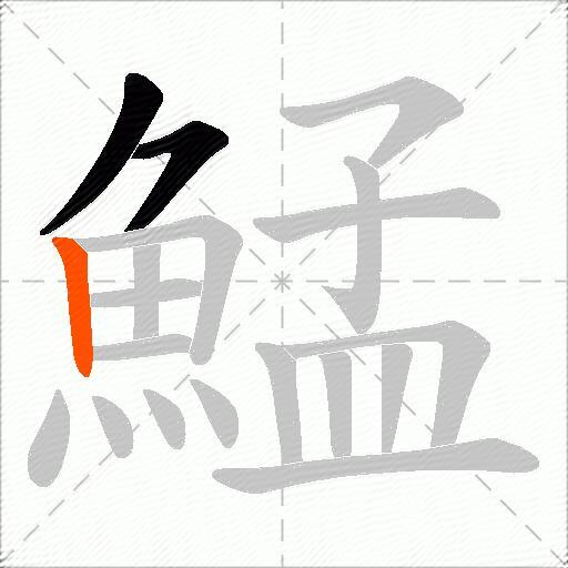 鯭