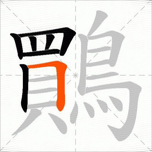鷶