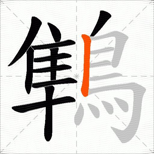 鶽