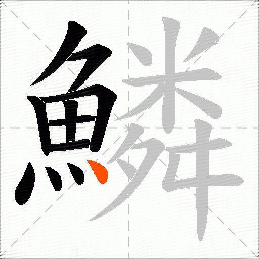 鱗