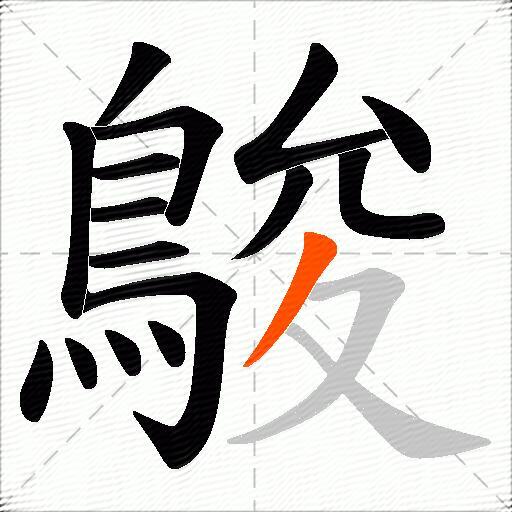 鵔