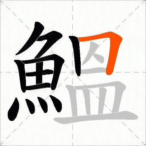 鰮