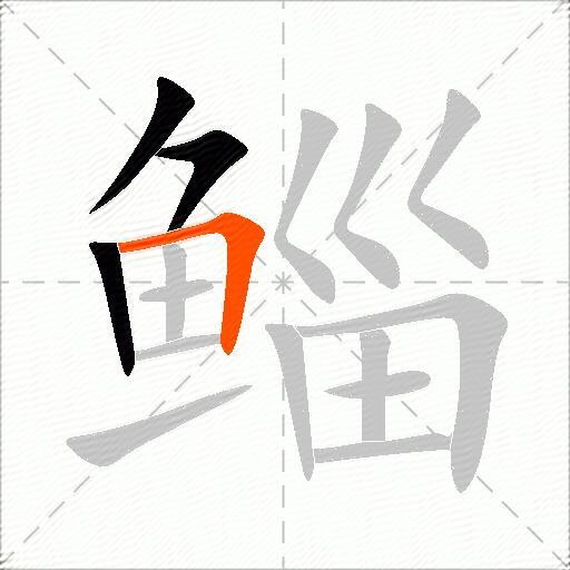 鲻