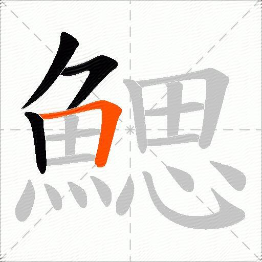 鰓