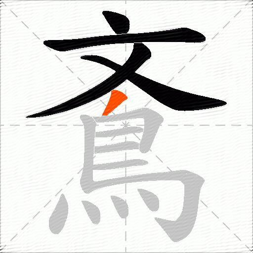 鴍