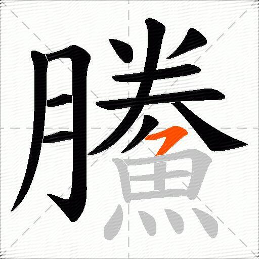鰧