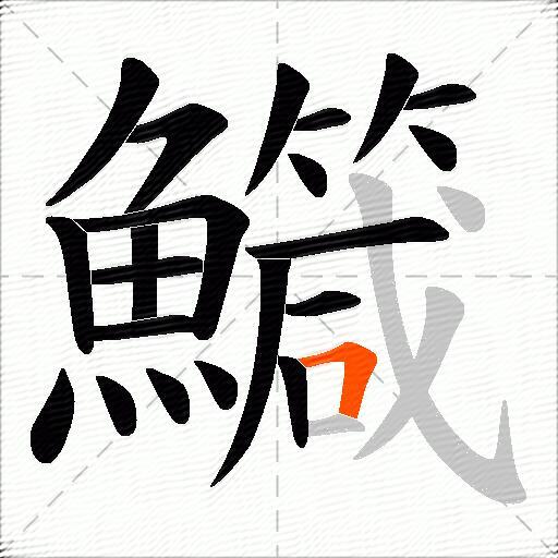 鱵
