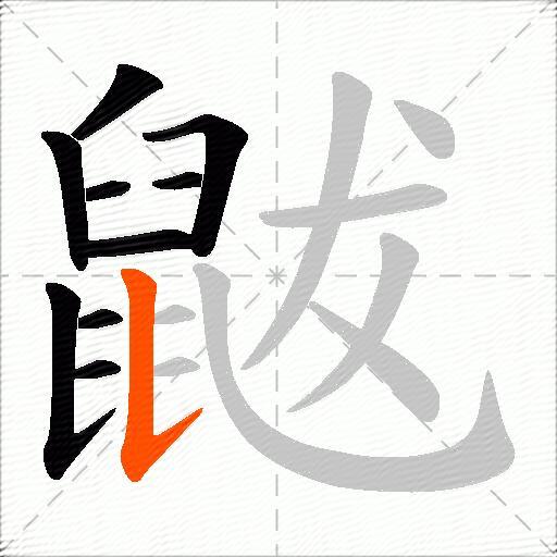 鼥