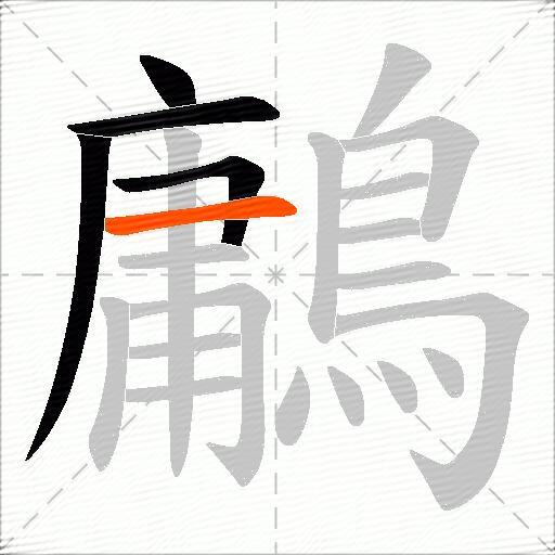 鷛