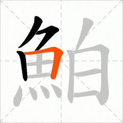 鮊