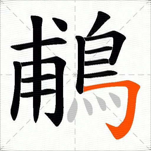 鵏