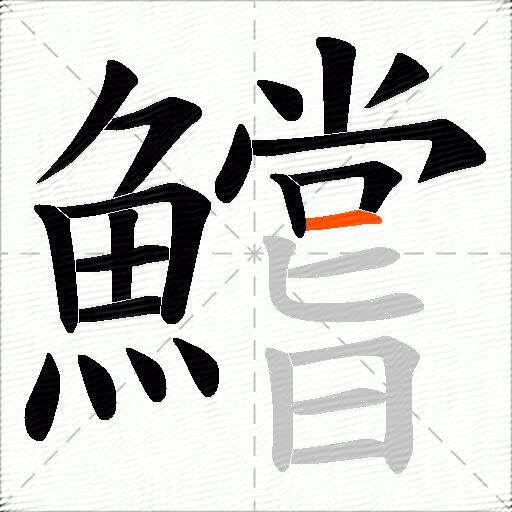 鱨