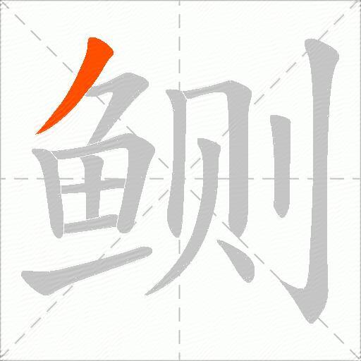 鲗