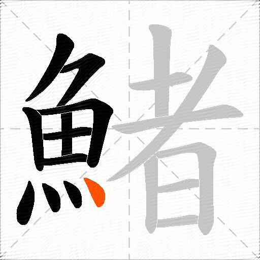 鯺