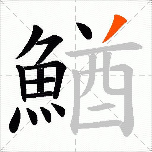 鰌