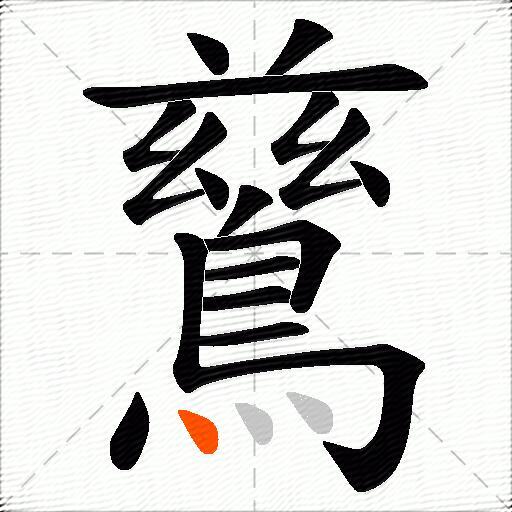 鶿