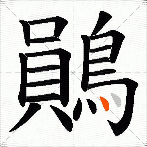 鶰