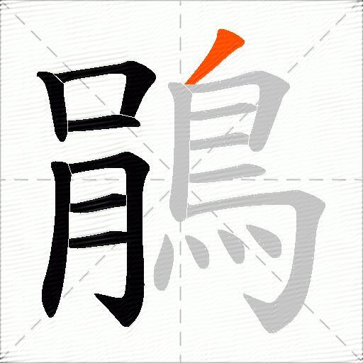 鵑