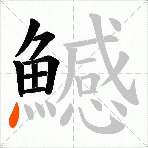 鱤