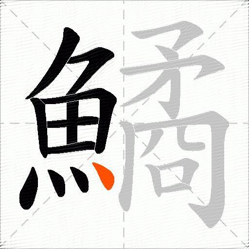 鱊