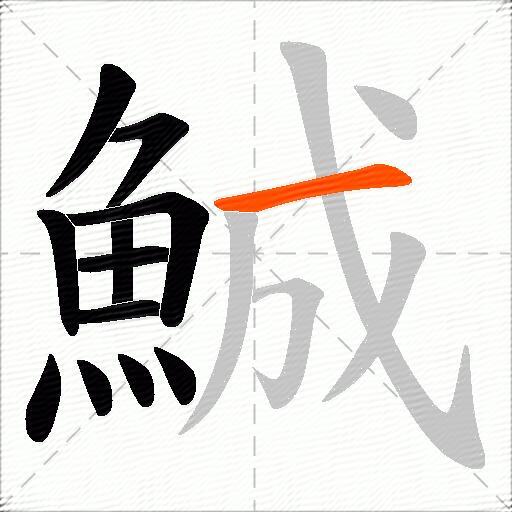 鯎