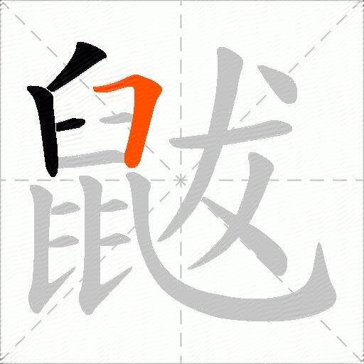 鼥