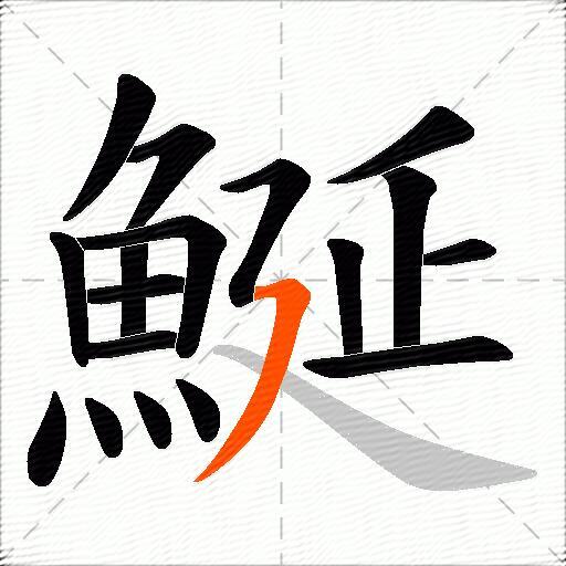 鯅