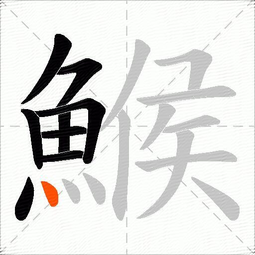 鯸