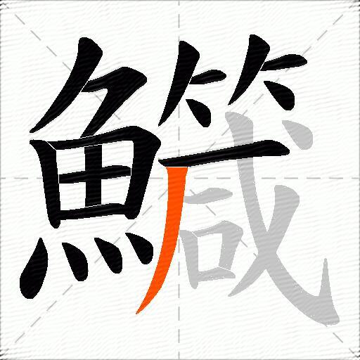 鱵