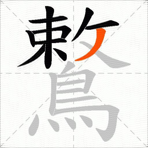 鷘