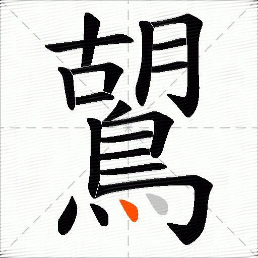 鶦