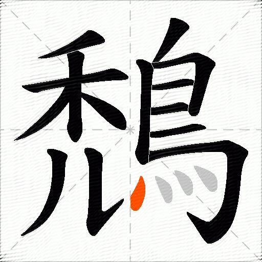 鵚