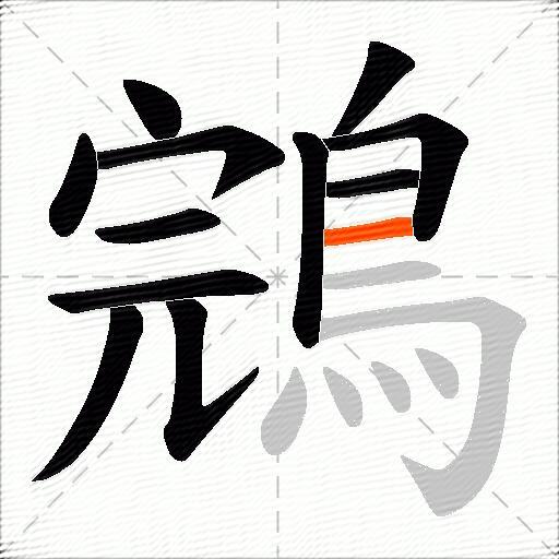 鵍