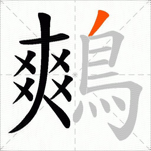 鷞