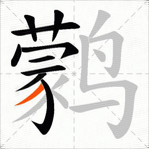 鹲