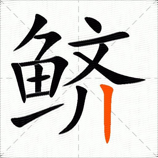 鲚