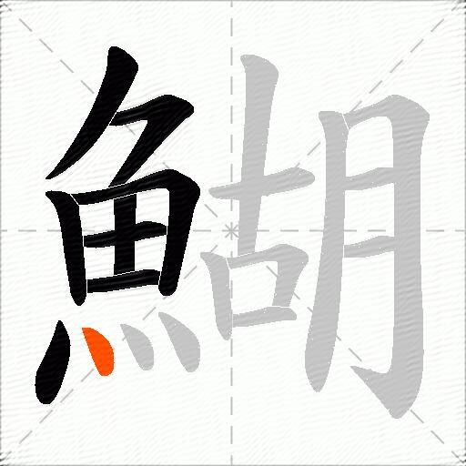 鰗