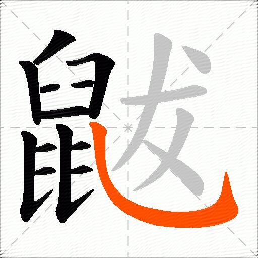鼥