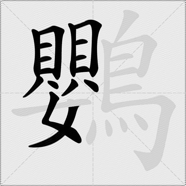 鸚