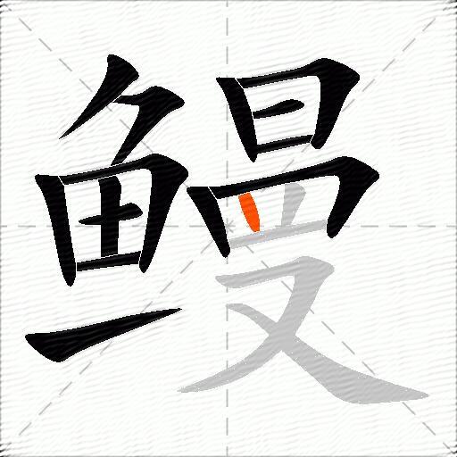 鳗