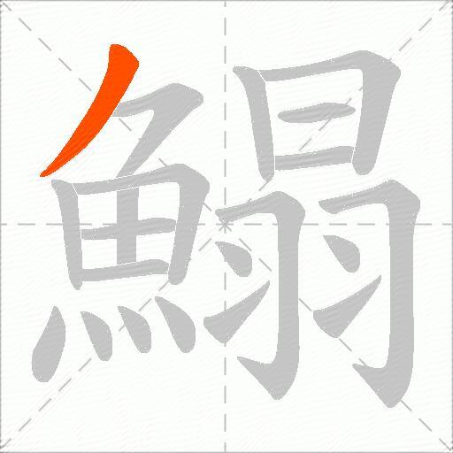 鰨