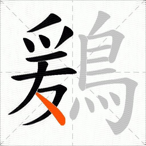 鶢